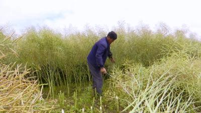 方友发：困难面前不颓靡 脚踏实地谋幸福 	