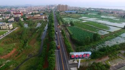 蕲州镇：推进产业结构调整 谱写经济发达镇新篇章