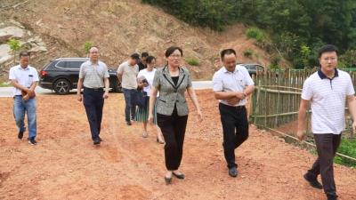 赵少莲到漕河镇开展“不忘初心 牢记使命”主题教育专题调研