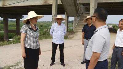 赵少莲、詹才红检查指导长江干支堤防汛巡查工作