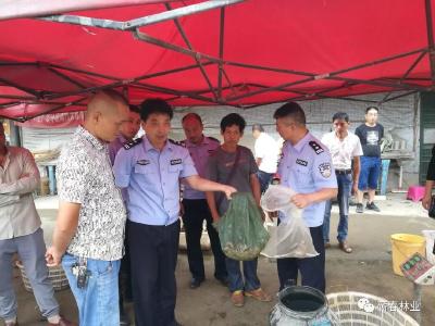 蕲春县开展野生动物突击清查行动