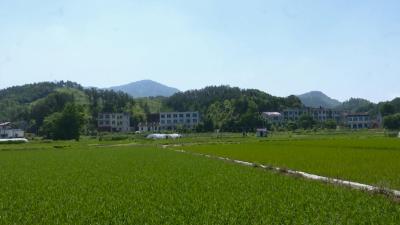 张榜镇横路村调整产业结构 增强经济实力