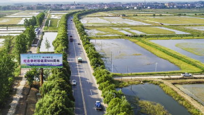蕲春美丽公路镜像