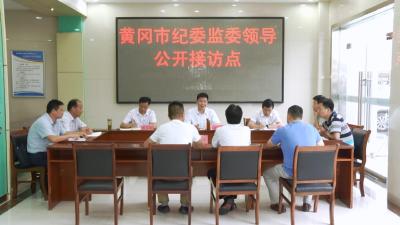 胡爱民来我县接访：听取群众呼声 解决合理诉求