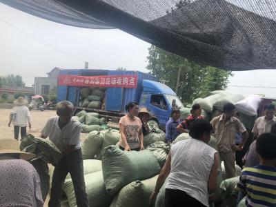 部门联合企业助力贫困村产业脱贫