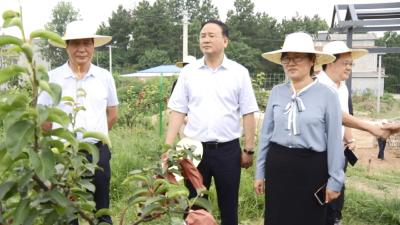 省台办主任李建红来我县调研驻村帮扶工作