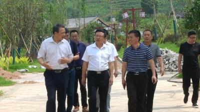市政协来我县调研中医药健康产业发展