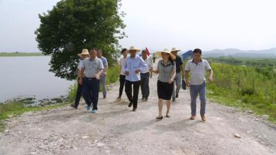 赵少莲：重视“六时”做到“六查” 确保蕲春境内长江干支堤安全度汛 