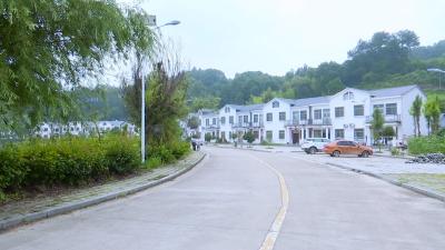 狮子镇长林村：建立长效保洁机制 推进美丽乡村建设