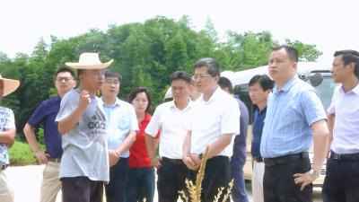 安徽省霍山县来我县考察大健康产业