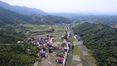 向桥乡枫树村：打造生态产业 建设美丽乡村