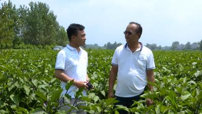 蕲之阳果蔬：全力以赴为运动员提供健康食品