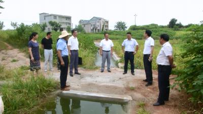 白莲干渠防汛抗旱指挥部科学调度力保抗旱用水