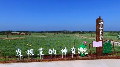 赤东镇：紧盯工业巧抓农业 两手抓两不误