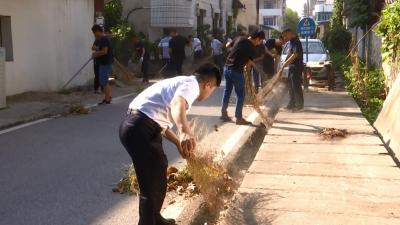 各单位积极参与“喜迎五运 万人洁城”活动