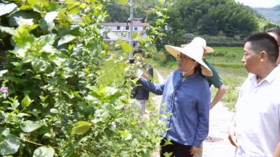 赵少莲：查找问题户户必到 解决问题贯穿始终