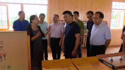 南京黄冈商会考察我县投资环境