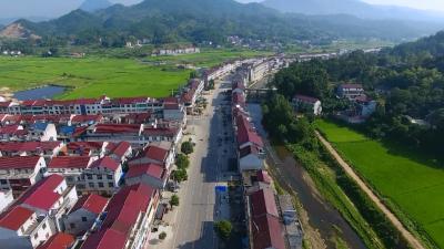 檀林镇：药旅联动引领致富路