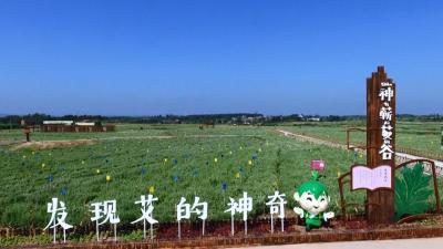 大健康产业撑起发展新支点 