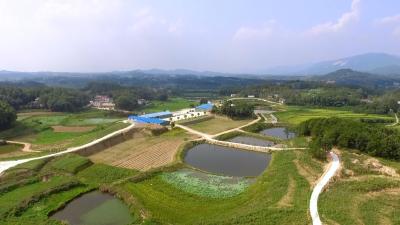 株林镇：壮大村级产业集群 促进高质量发展