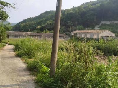 蕲春县黄河厂库区水环境整治如期完成