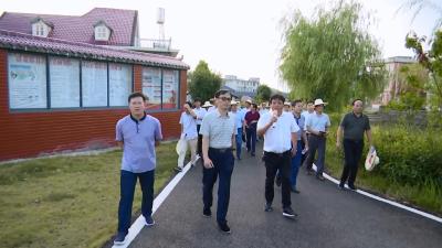 城乡垃圾无害化处理取得初步成效