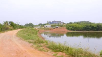 王成军：回乡创办养鸡场 带领乡亲奔富路