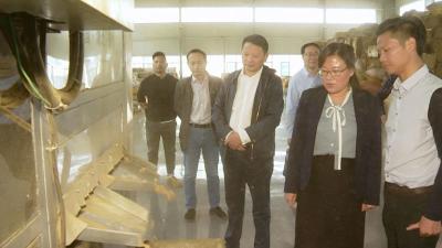 赵少莲到部分骨干企业和重点项目一线征求意见和建议