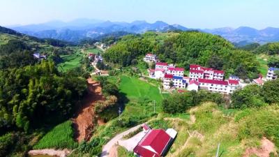 檀林镇泗流山村：特色产业铺就致富路