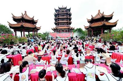  朋自远方来 “黄鹤”喜相迎