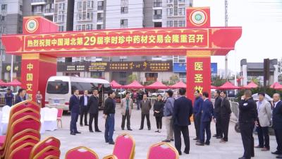 赵少莲 詹才红等县领导调研督办药交会筹备工作