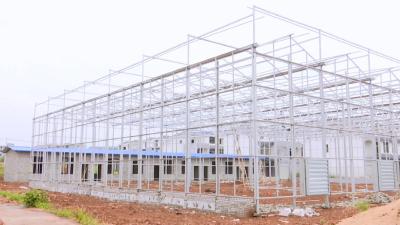 管窑镇寒婆岭村建设蕲艾种苗繁育基地