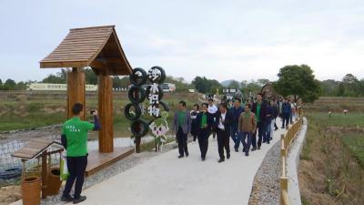 蕲艾产业协会出实招  推动蕲艾产业高质量发展