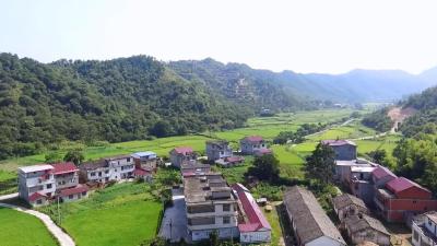 乡村处处焕新颜