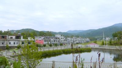 狮子镇胡敬冲村打造“生态美 产业强 环境优”的美丽乡村