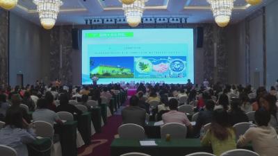 2019中国黄冈互联网+大健康产业峰会在我县举行