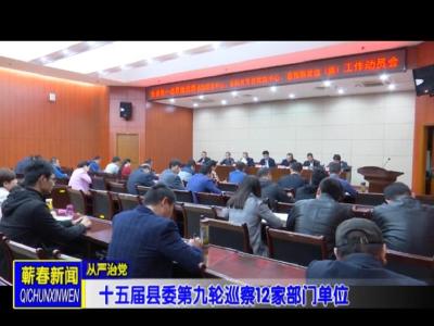 十五届县委第九轮巡察12家部门单位