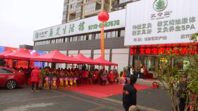 我县蕲艾产业辐射带动效应凸显