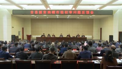 县委县政府交办脱贫摘帽市级初审反馈问题
