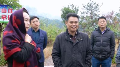 “中国健康好乡村”组委会来我县考察调研