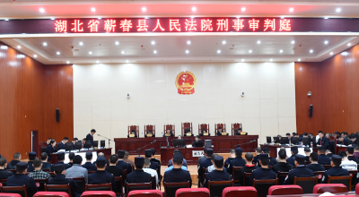 管美华等30人涉黑案一审宣判  主犯13项罪名获刑21年