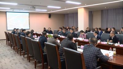詹才红主持召开2019年第四次规划评审会