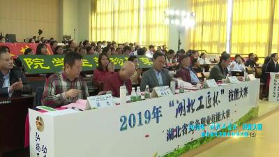 2019“湖北工匠杯”艾灸职业技能大赛(6)