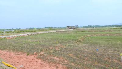 赤东镇：能人回乡助力乡村振兴