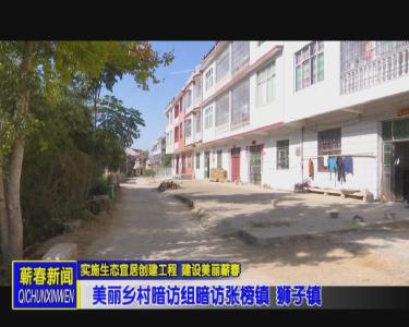 美丽乡村暗访组暗访张榜镇 狮子镇