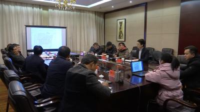卓尔控股有限公司来我县考察