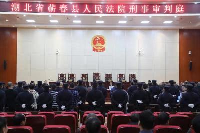 扫黑除恶再添战果！ 洪云、姜能超等38名被告人今日受审