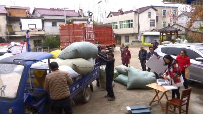 艾师傅到横车镇定点收购蕲艾