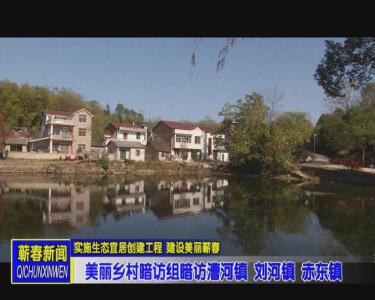 美丽乡村暗访组暗访刘河镇赤东镇漕河镇