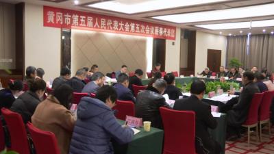 蕲春代表团审议市政府工作报告